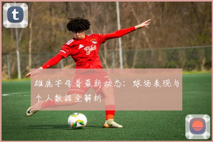 雄鹿字母哥最新动态:球场表现与个人数据全解析